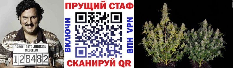 Где найти наркотики Уржум Codein  APVP  Кокаин  АМФ  Меф  ГАШ  МАРИХУАНА 